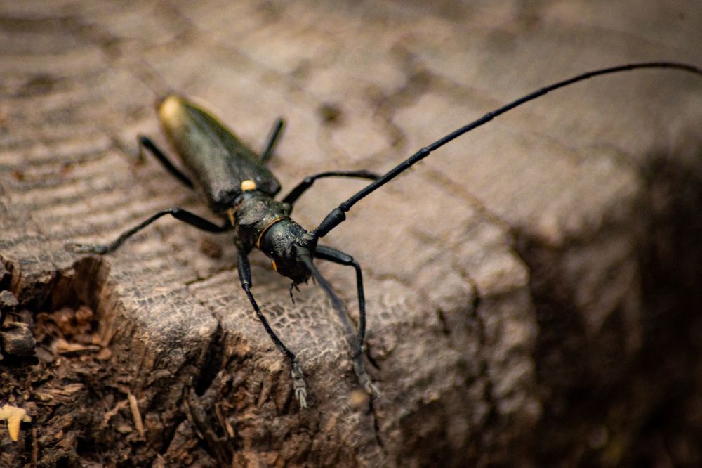 Photograph by Екатерина Абросова