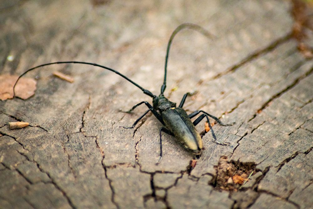 Photograph by Екатерина Абросова