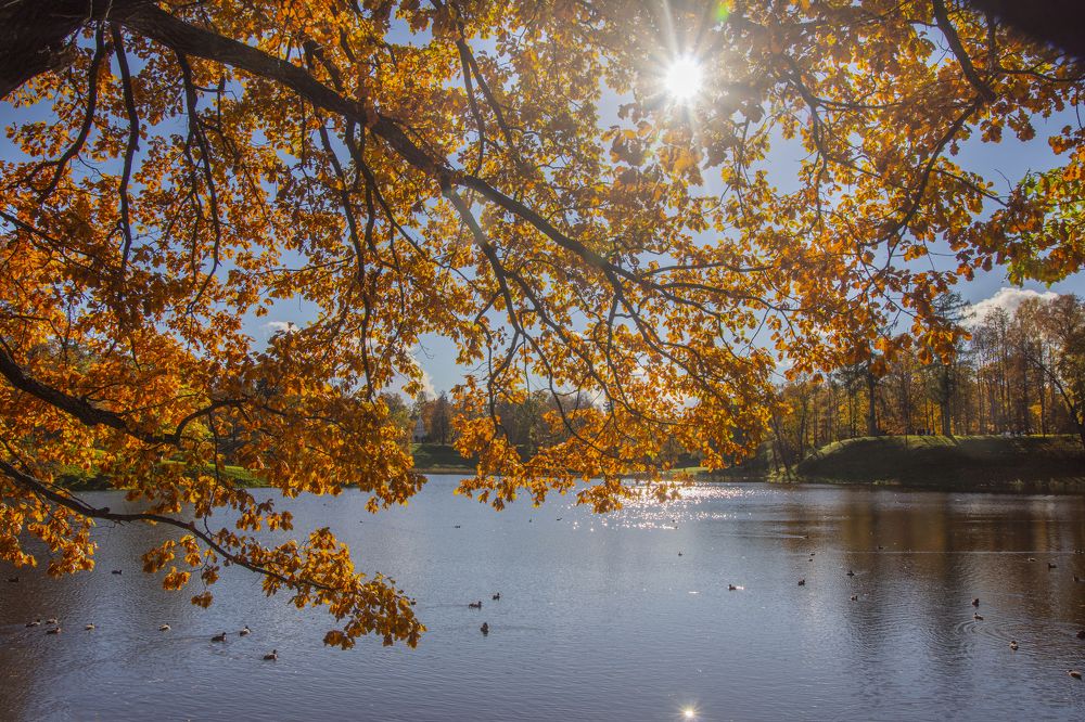 Photograph by Анна Васильева