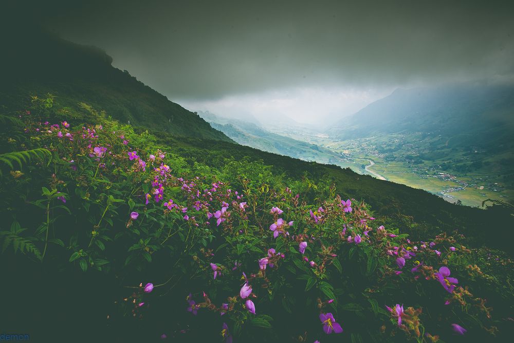 Photograph by Nguyễn Hiếu