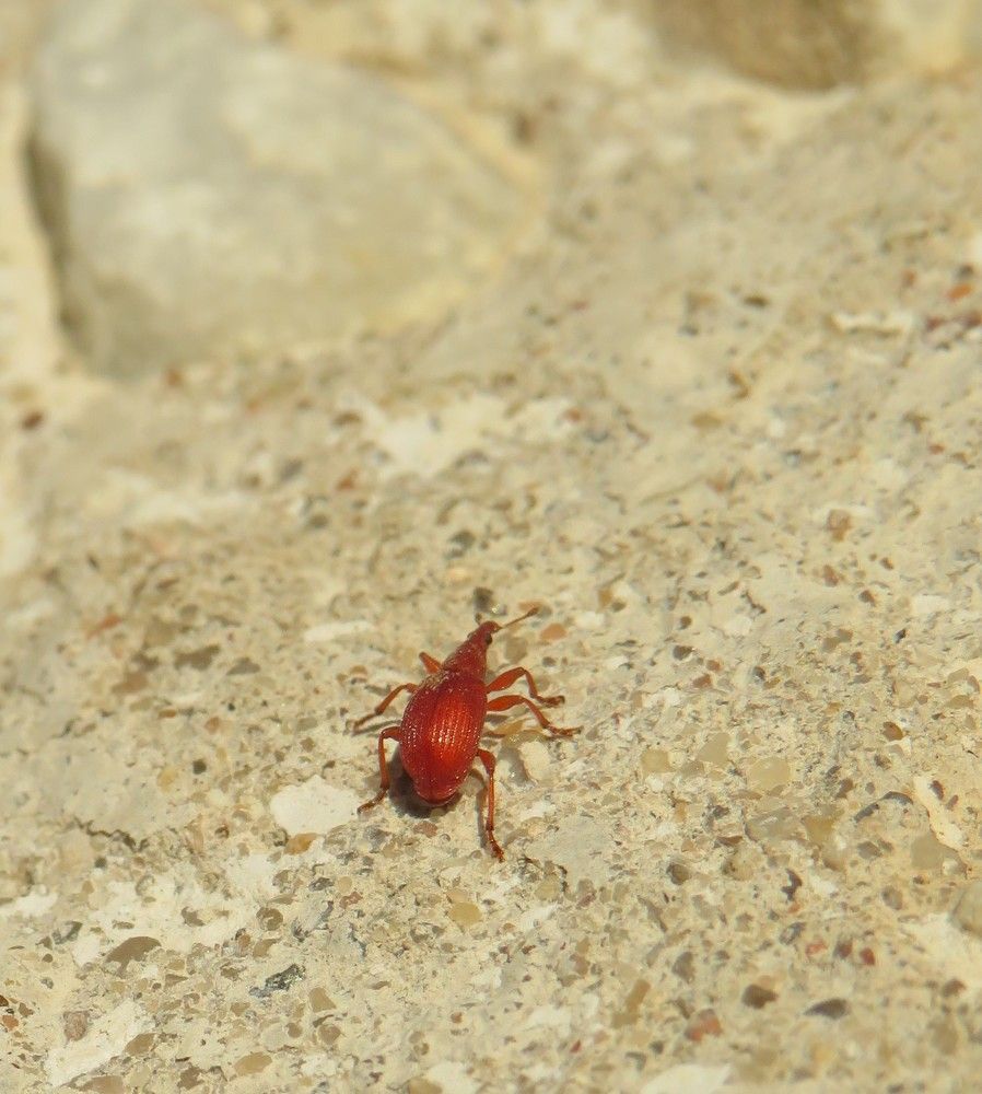 Фотография автора Ирина Лукьянчик