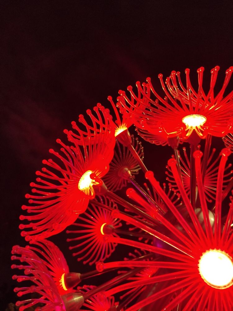 Photograph by Ирина Алексеевская