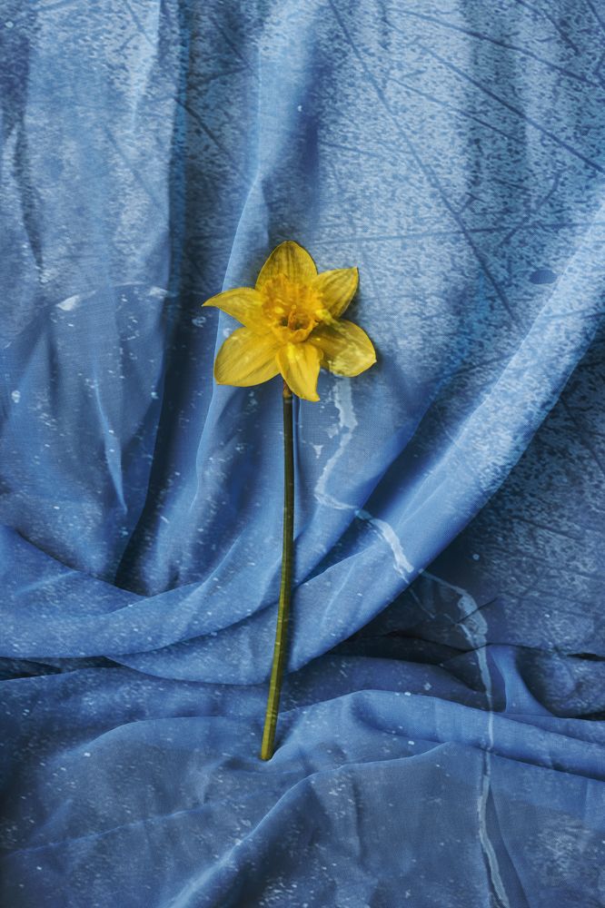 Photograph by Tatiana Kravchuk