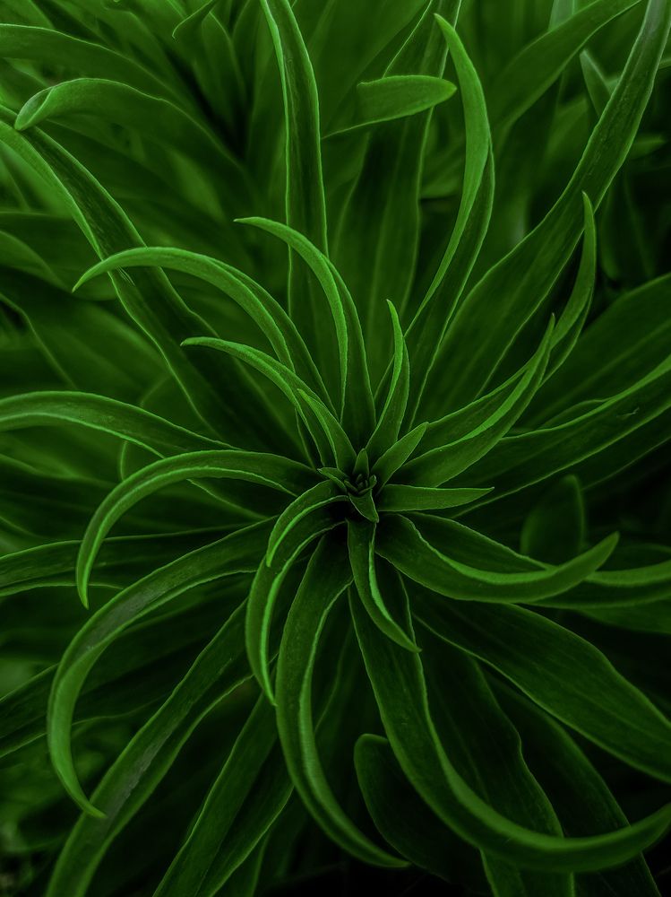 Photograph by Лариса Когтева