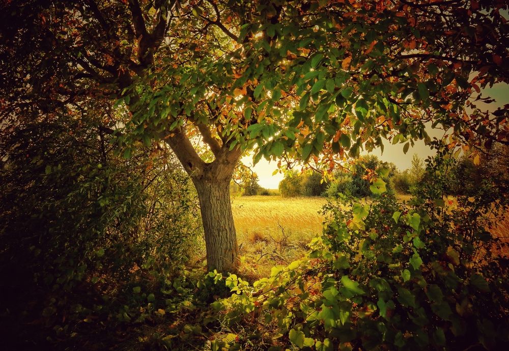 Photograph by Eva Wiedemann