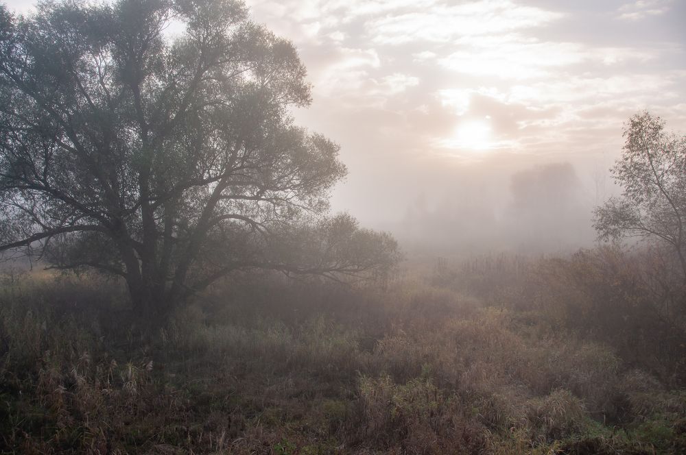 Photograph by Ольга Чуванова