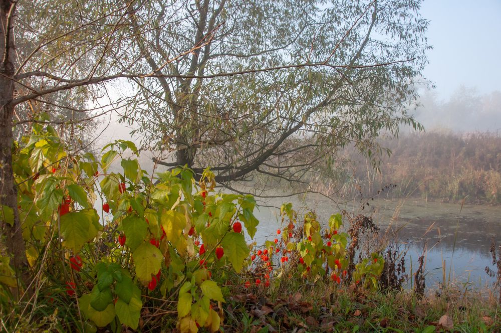 Photograph by Ольга Чуванова