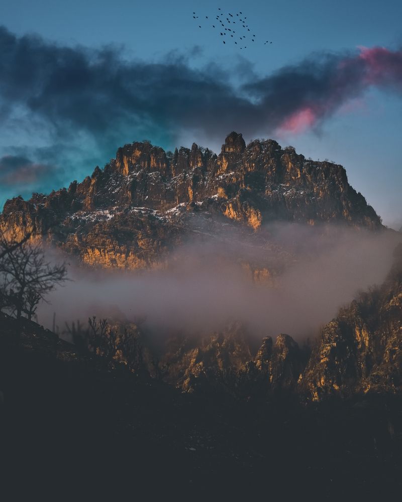 Photograph by iamrawareus