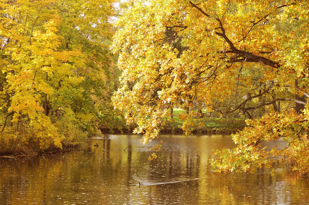 Photograph by Светлана Муравьева