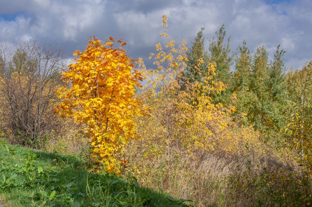 Photograph by Ольга Чуванова