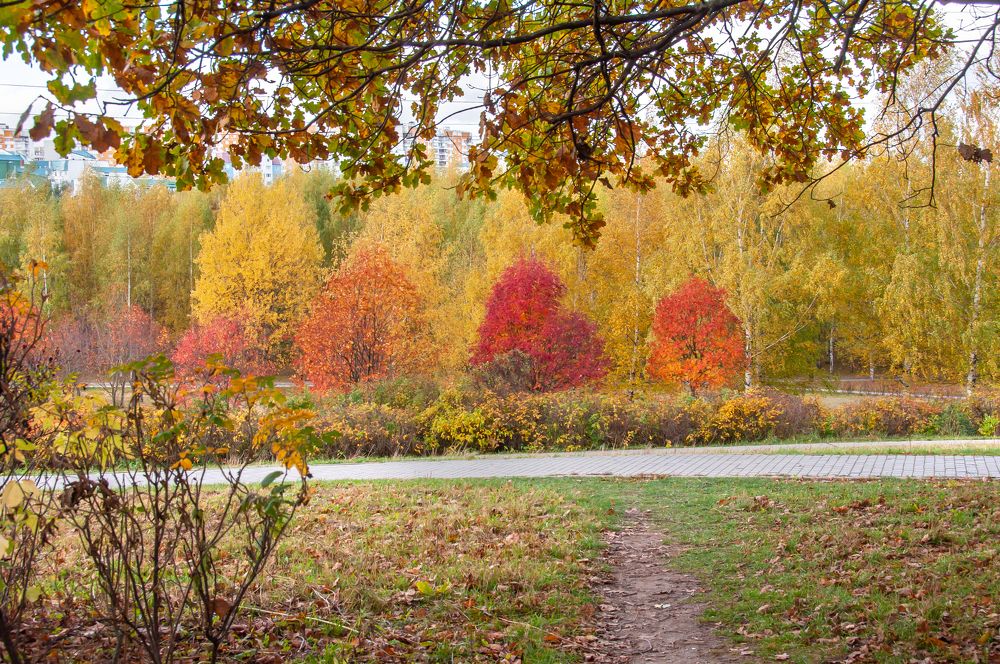 Photograph by Ольга Чуванова