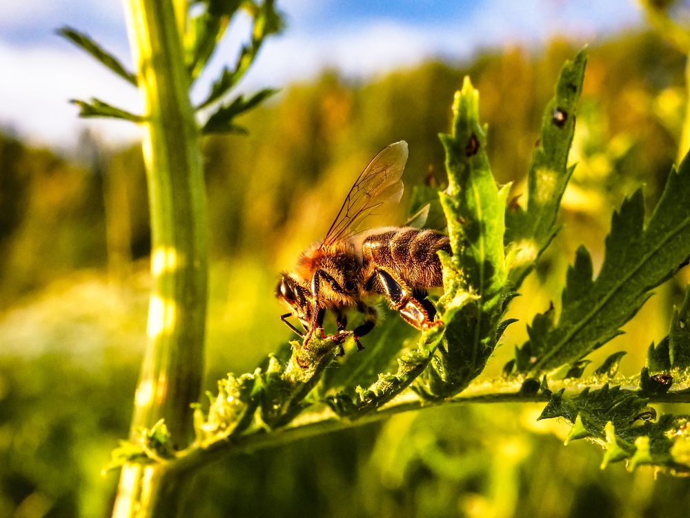 Photograph by Рязанов Юрий