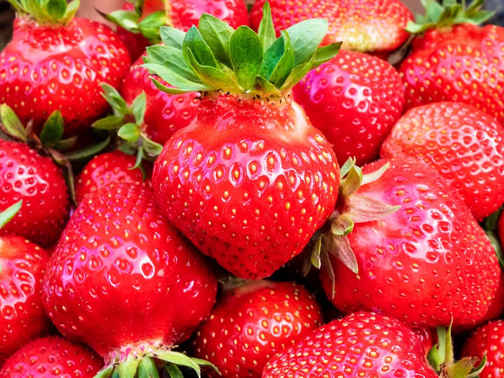 Photograph by Рязанов Юрий