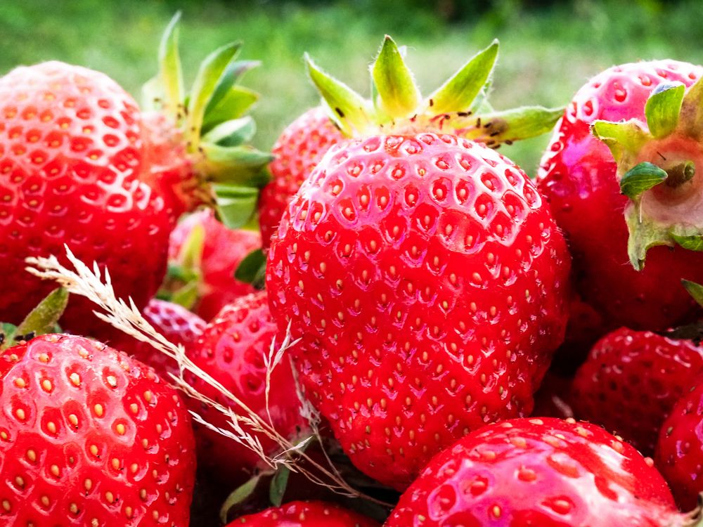 Photograph by Рязанов Юрий