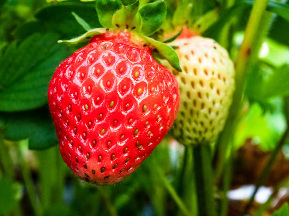 Photograph by Рязанов Юрий