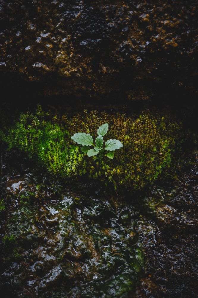 Photograph by Сергей Афанасьев