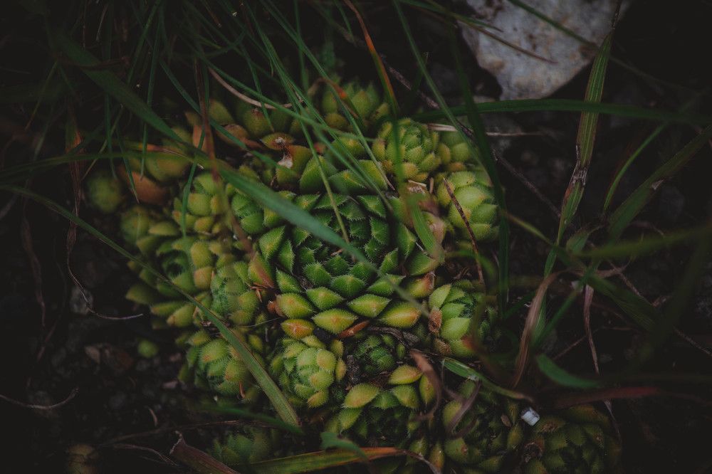 Photograph by Сергей Афанасьев