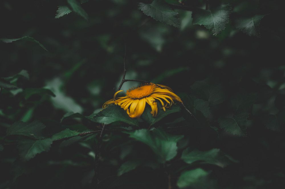 Photograph by Сергей Афанасьев