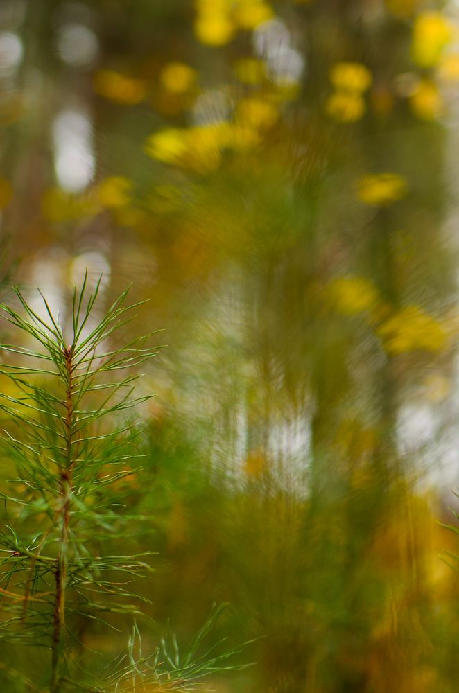 Photograph by Ольга Моисеева