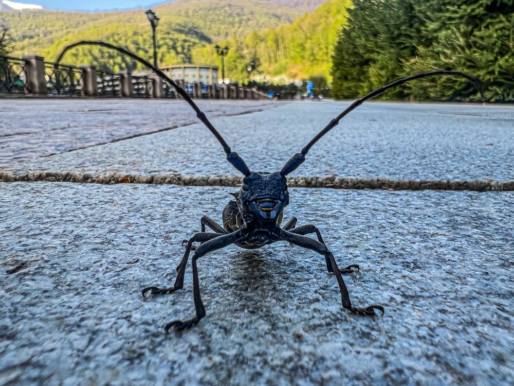 Photograph by Максим Комиссаров