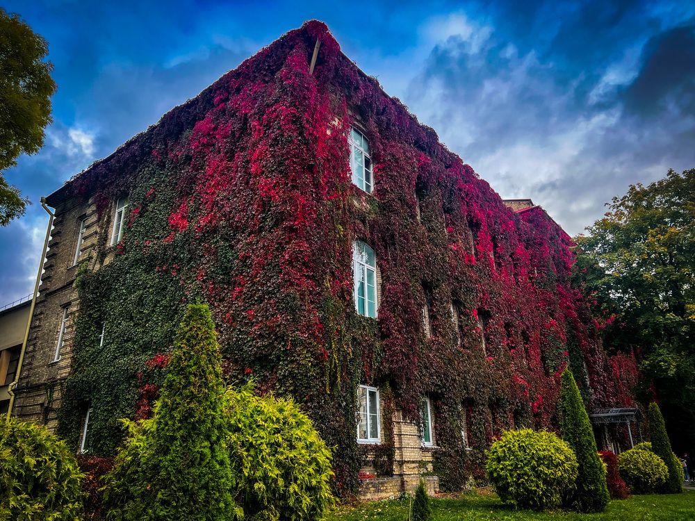 Photograph by Максим Комиссаров