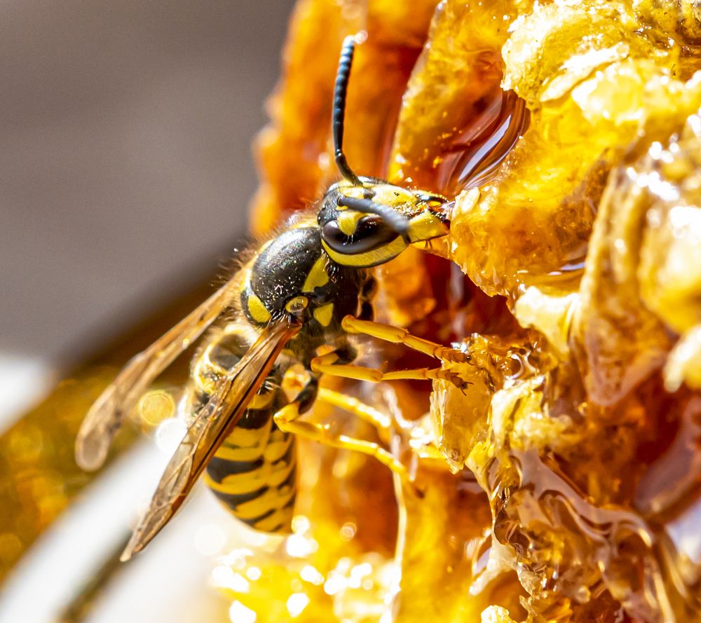 Photograph by Сергей Савчук