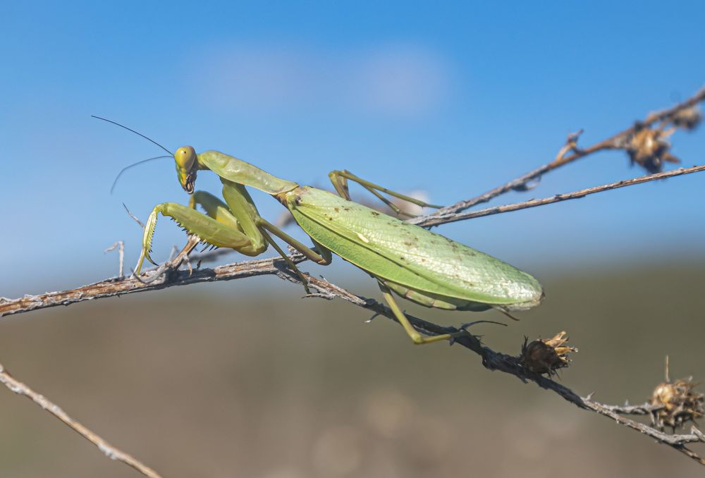 Photograph by Савчук Сергей