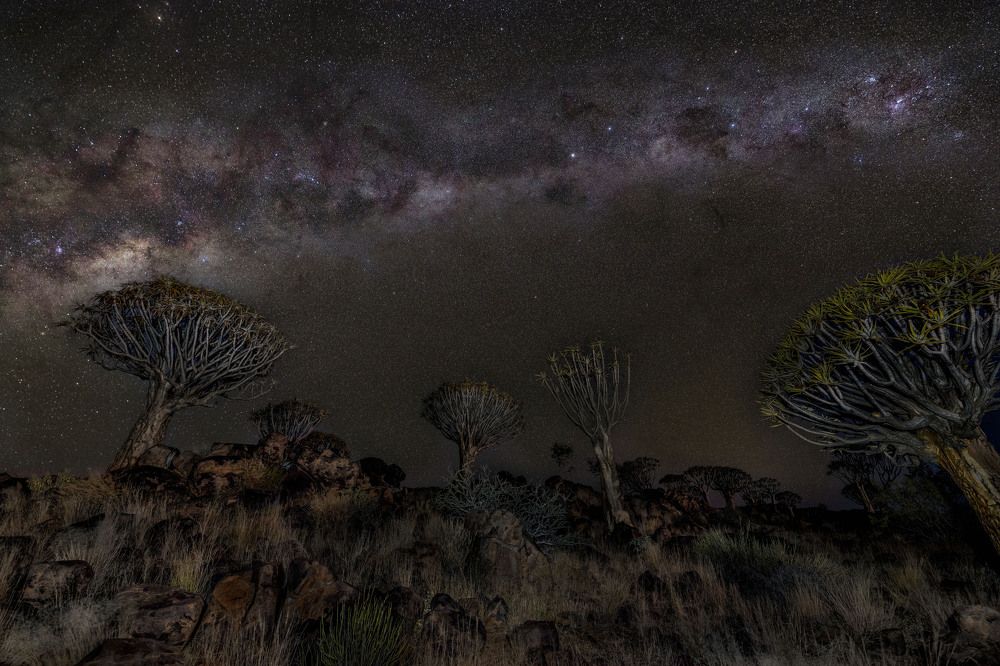 Photograph by Jose Pedrero Barrios