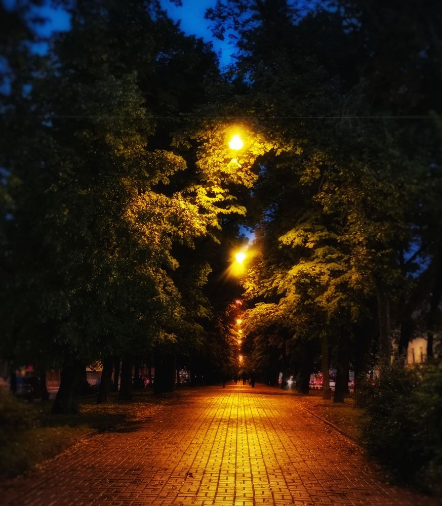 Photograph by Дайана