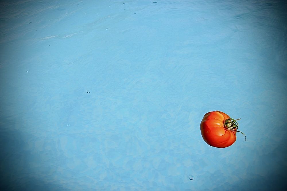 Photograph by Светлана