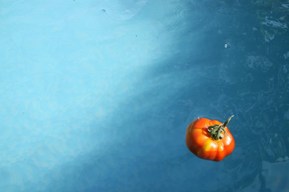 Photograph by Светлана