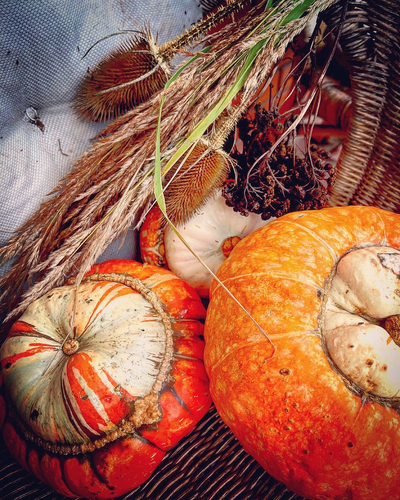 Photograph by Светлана