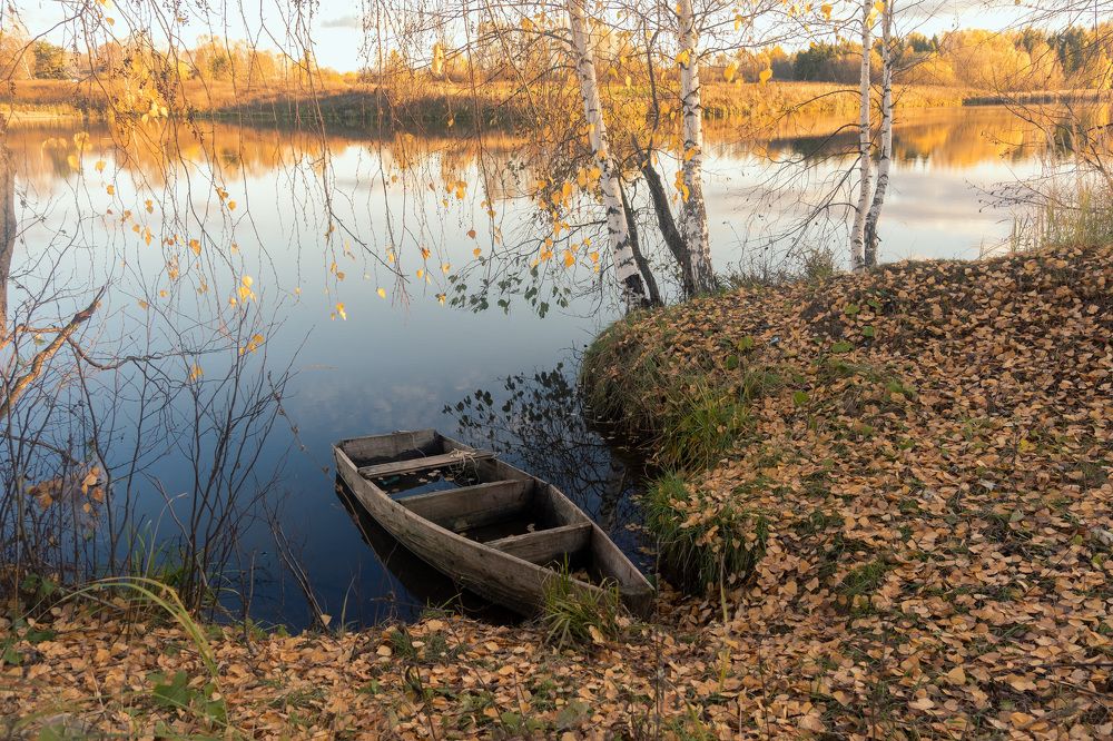 Photograph by Юлия Морозова