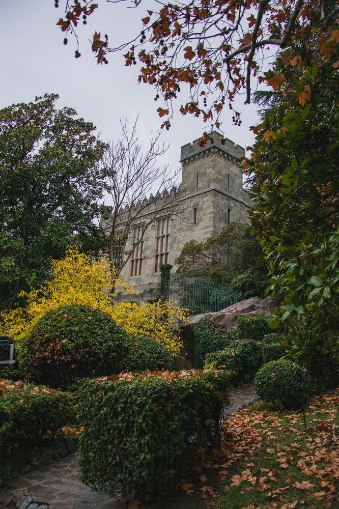 Photograph by Ольга Солодилова