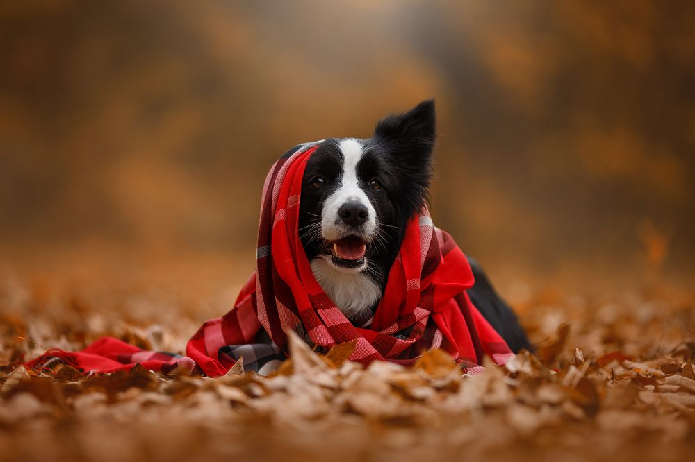 Photograph by Ольга Легенькая