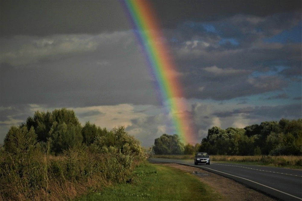 Фотография автора IRINA FILIPPOVA