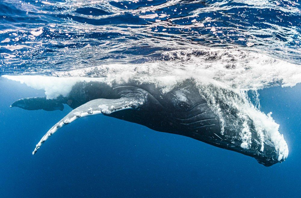 Photograph by KURASHIMA DAISUKE