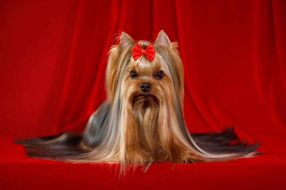 Photograph by Ольга Легенькая