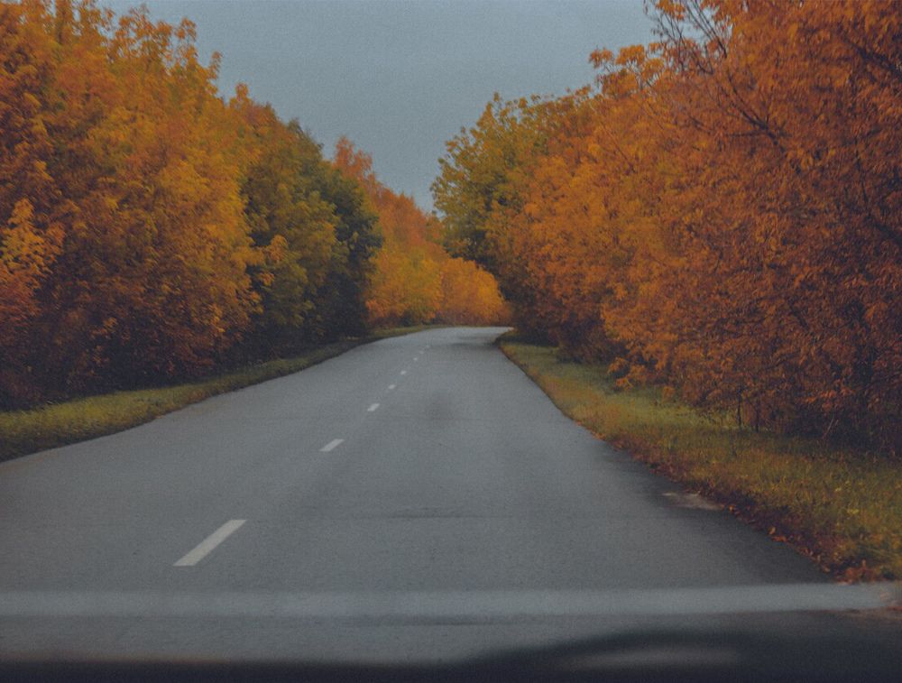 Photograph by Ирина Дьяченко