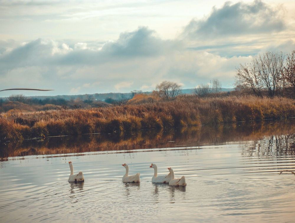 Photograph by Ирина Дьяченко