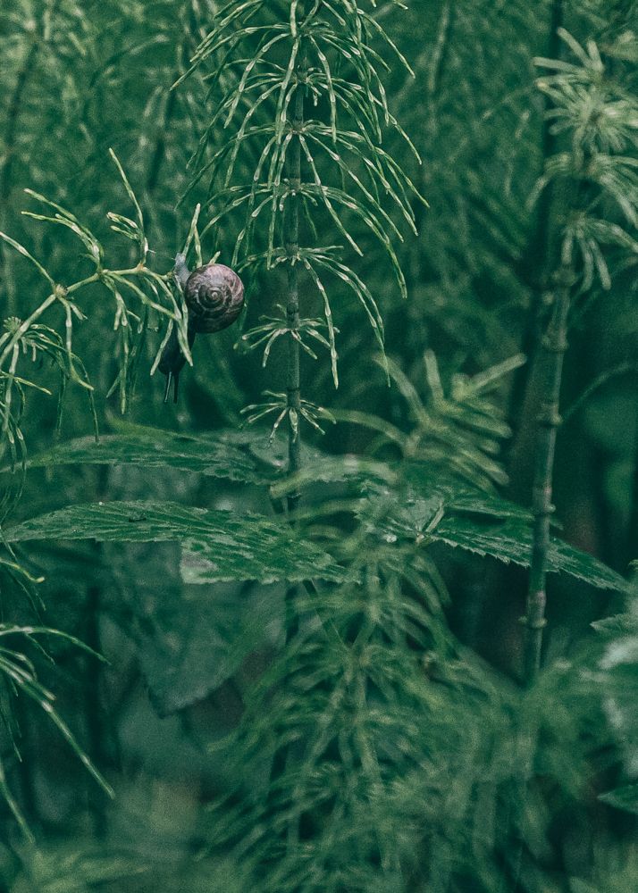 Photograph by Галина Кирикова