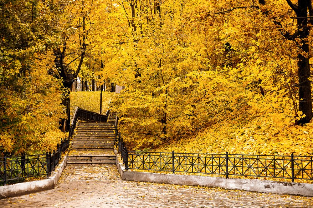 Photograph by Alexey Ignashin