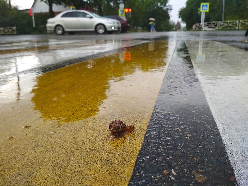 Пешеход /Pedestrian