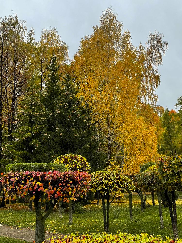 Фотография автора Рамзия Хисамутдинова