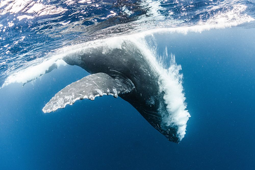 Photograph by KURASHIMA DAISUKE