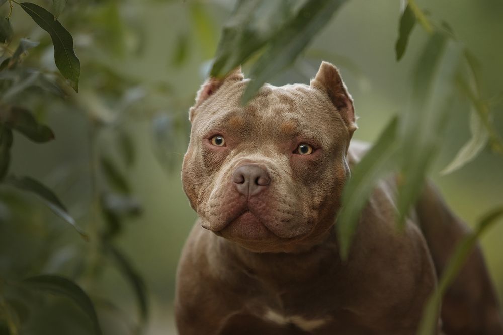 Photograph by Ольга Легенькая