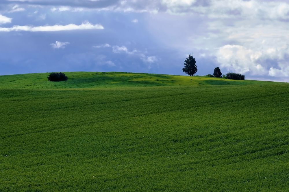 Фотография автора Dmitry