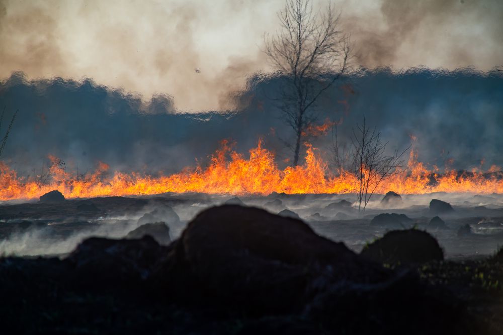 Photograph by Виталий Гавронский