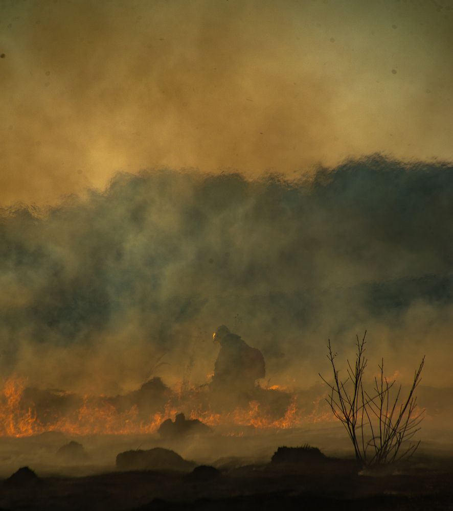 Фотография автора Виталий Гавронский