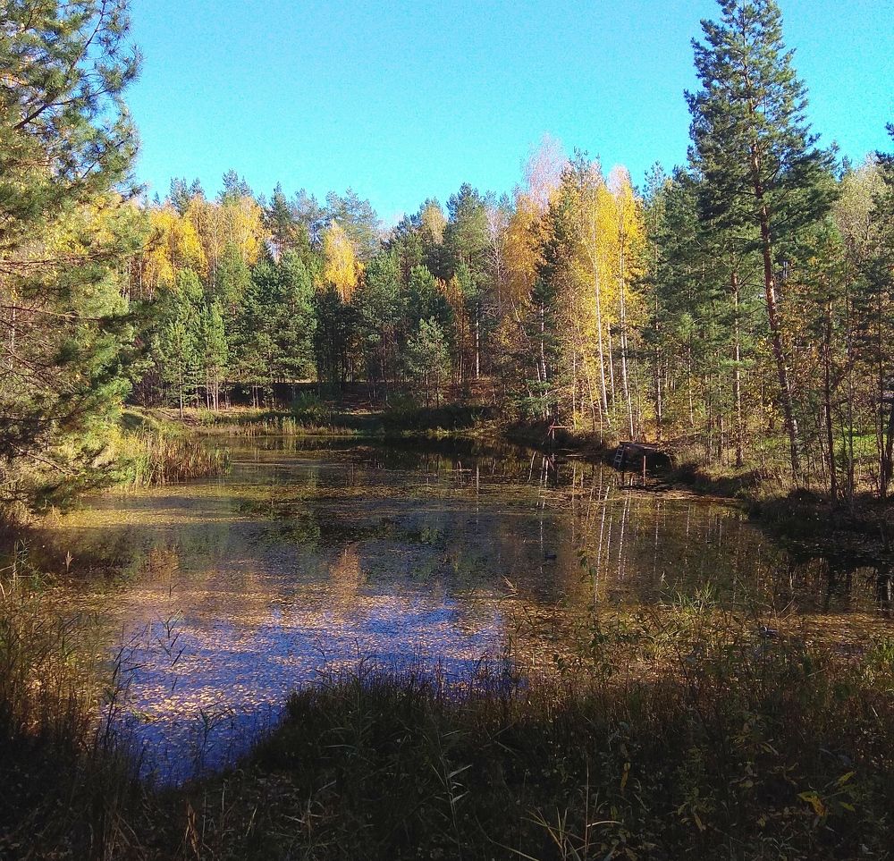 Photograph by Кунц